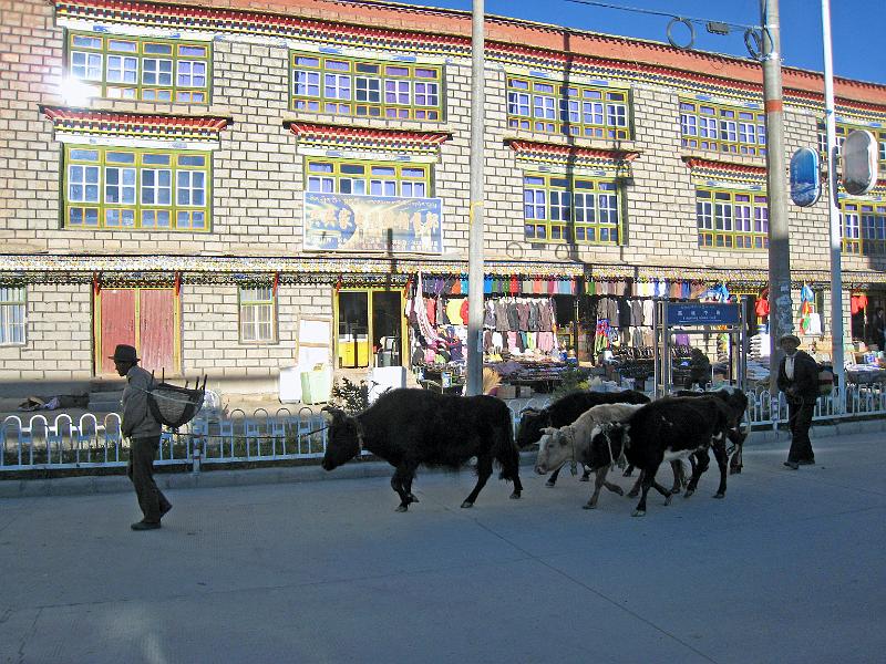 TIBET SEPT2008-321.JPG
